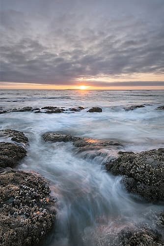 Kalaloch Beach 4 at sunset-Olympic National Park-Washington State Art Print